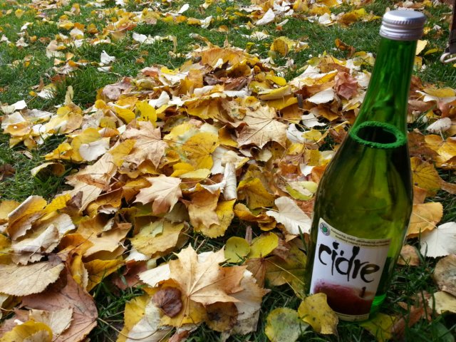 photo2.jpg
