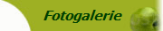 Fotogalerie